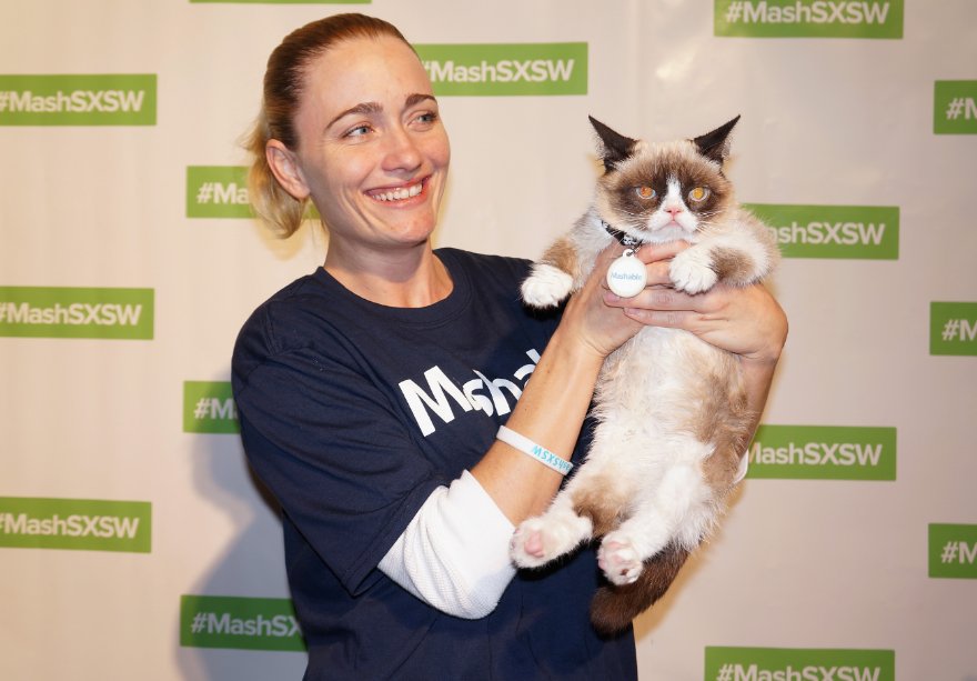 Grumpy Cat