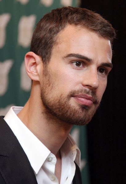 Picture of Theo James