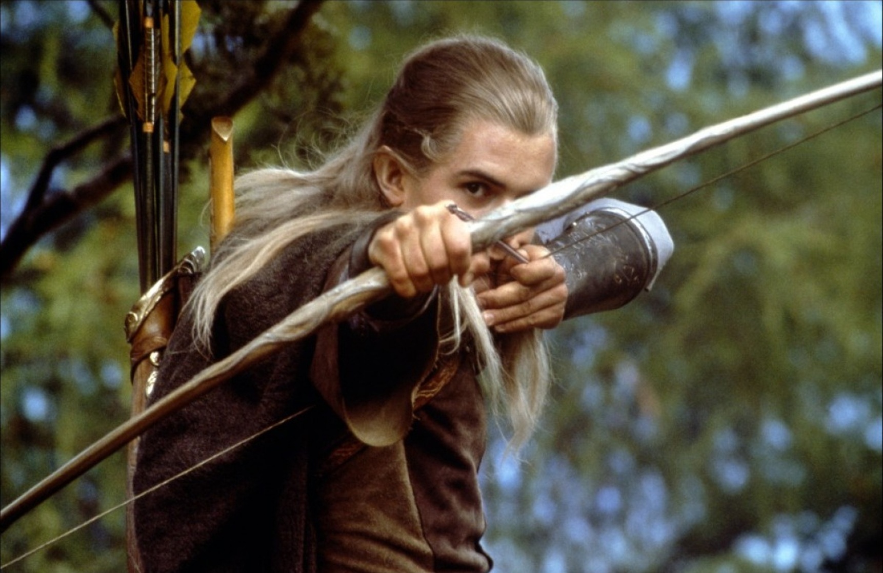 The Lord of the Rings: The Fellowship of the Ring The Lord of the Rings: The Fellowship of the Ring