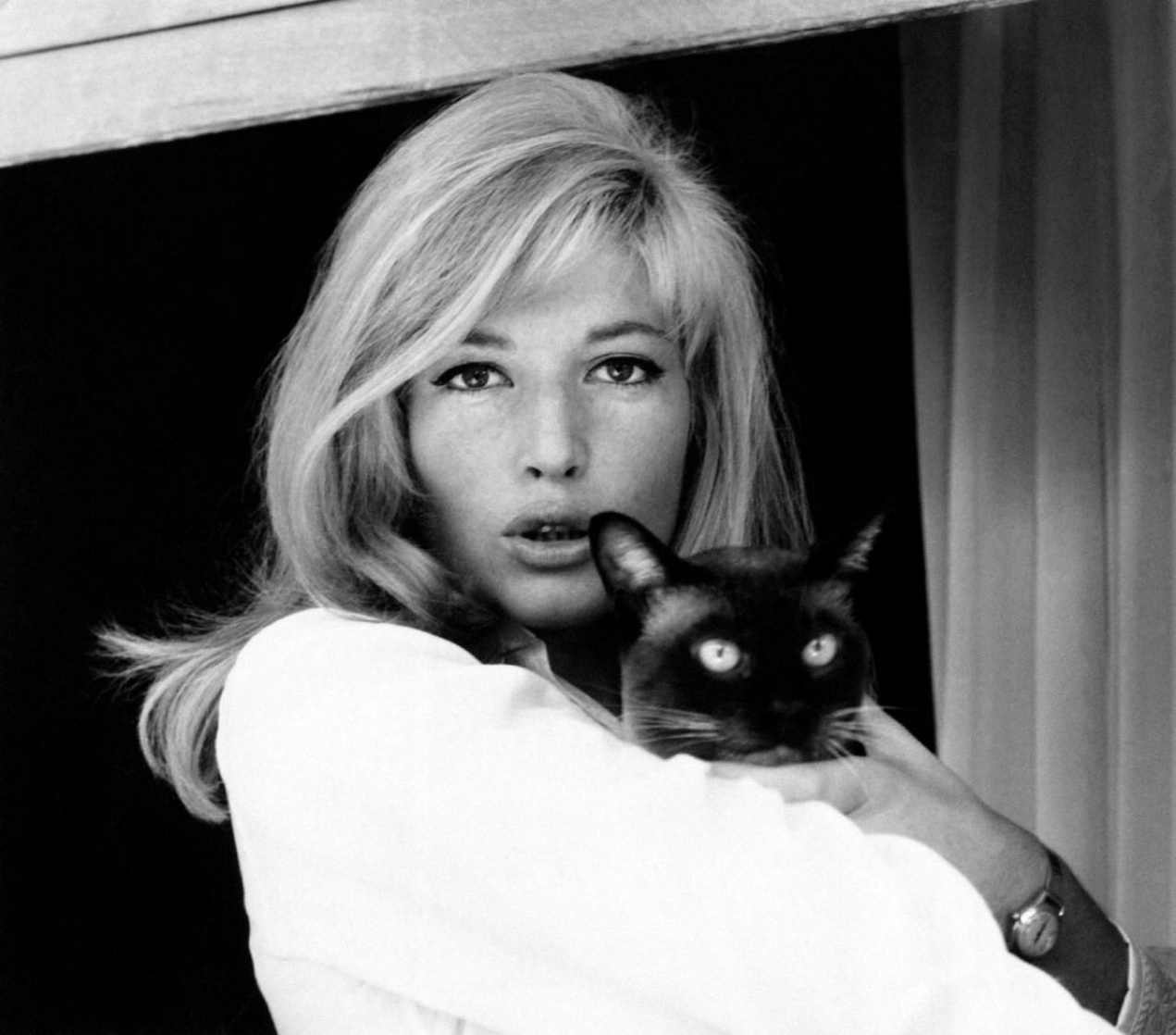 Picture of Monica Vitti