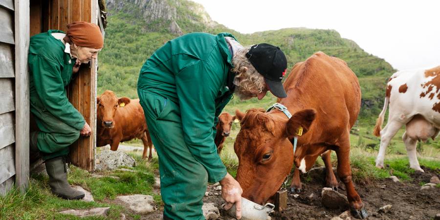 Søsken til evig tid
