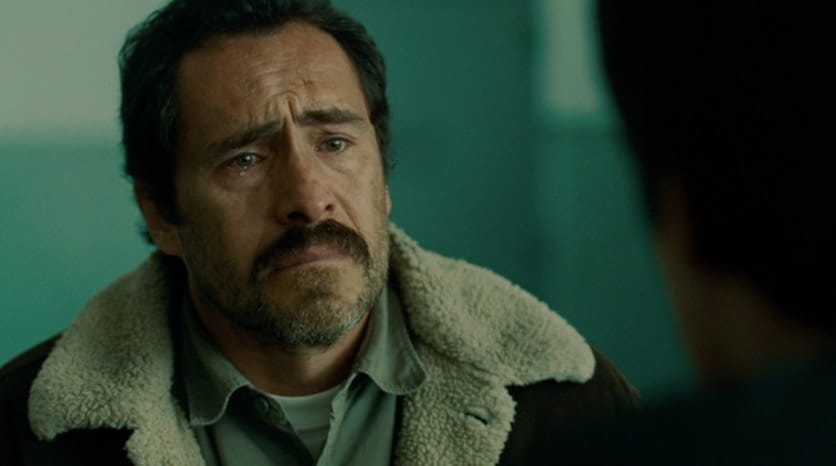 Demián Bichir