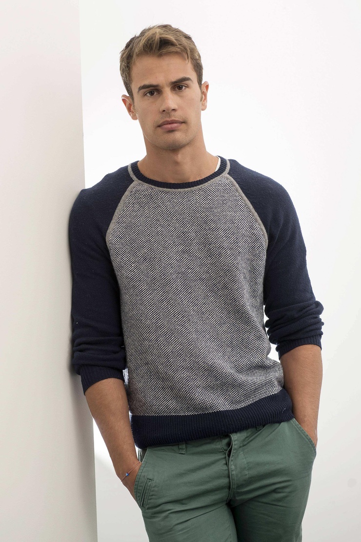 Picture of Theo James