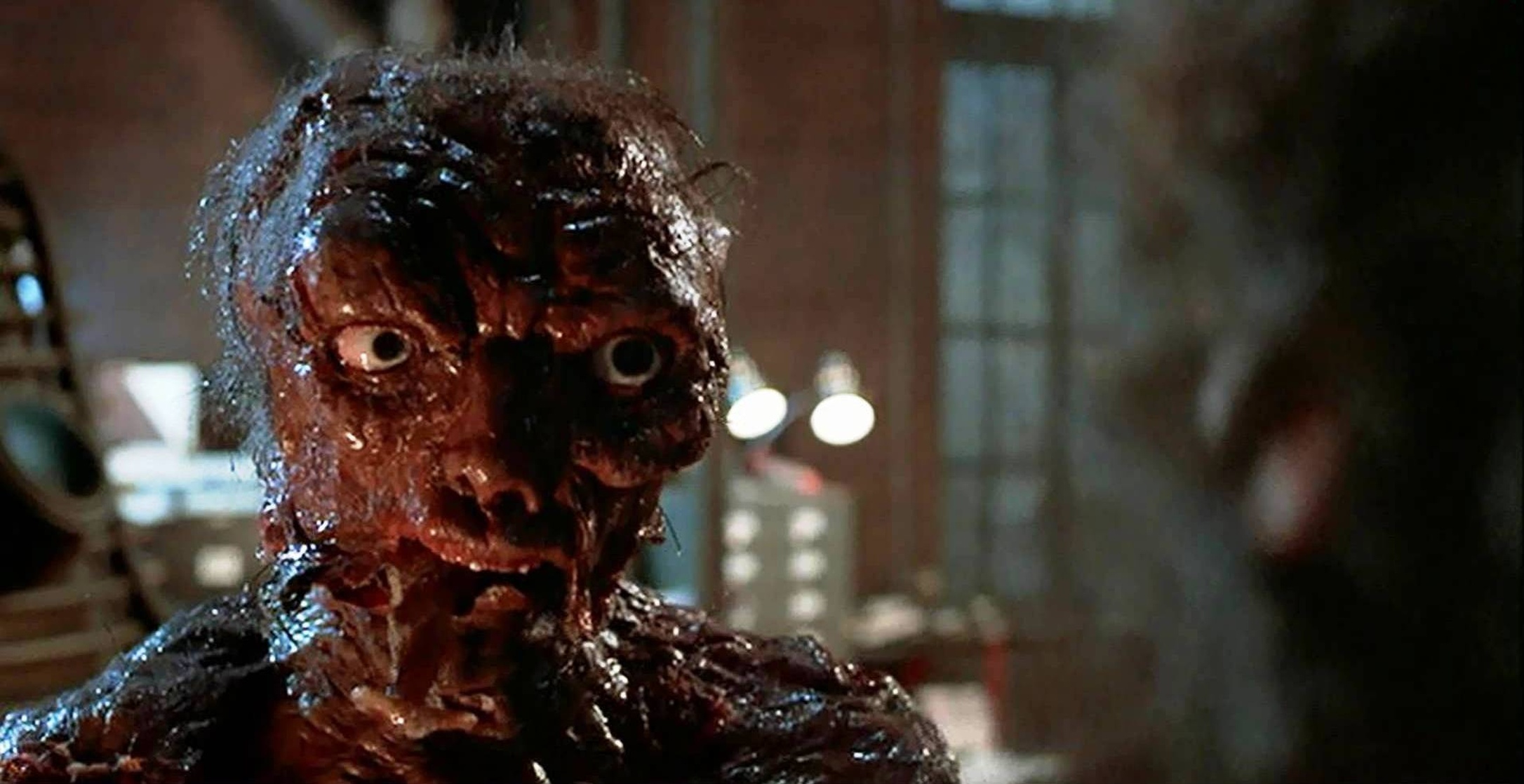 The Fly The Fly