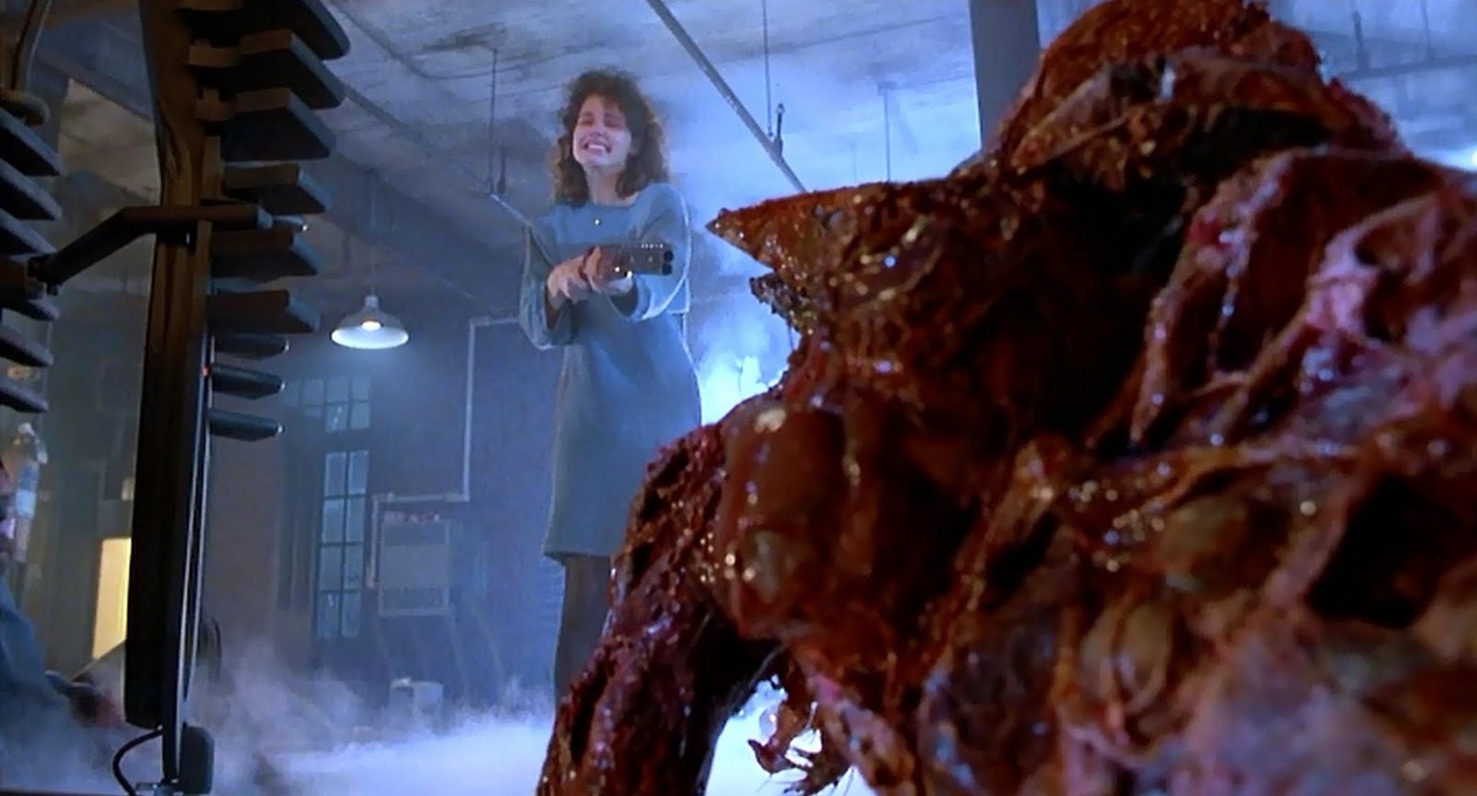 The Fly