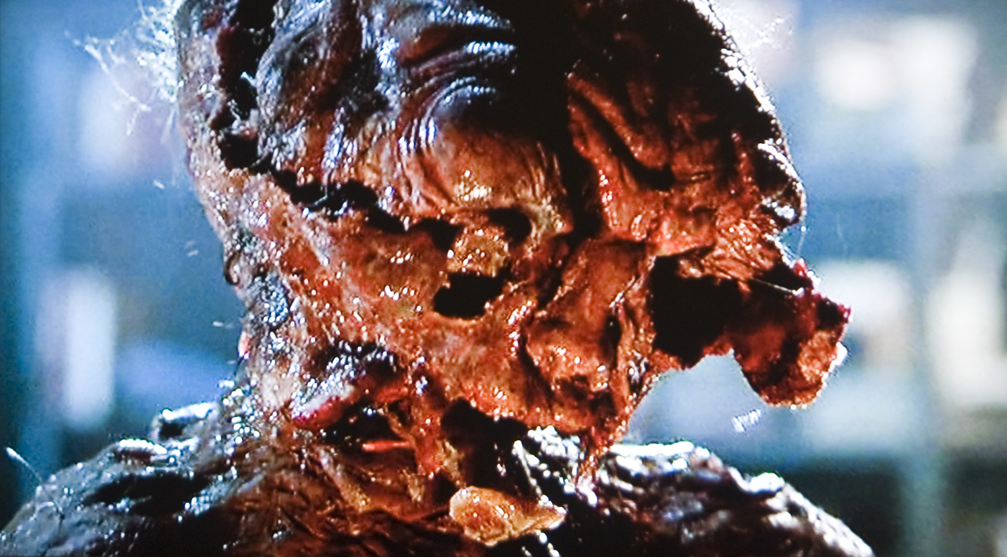 The Fly