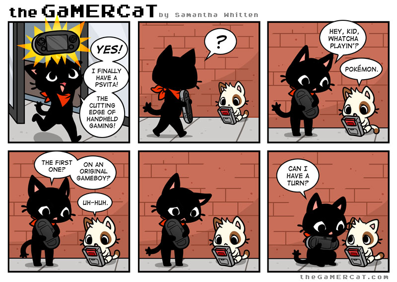 the GaMERCaT