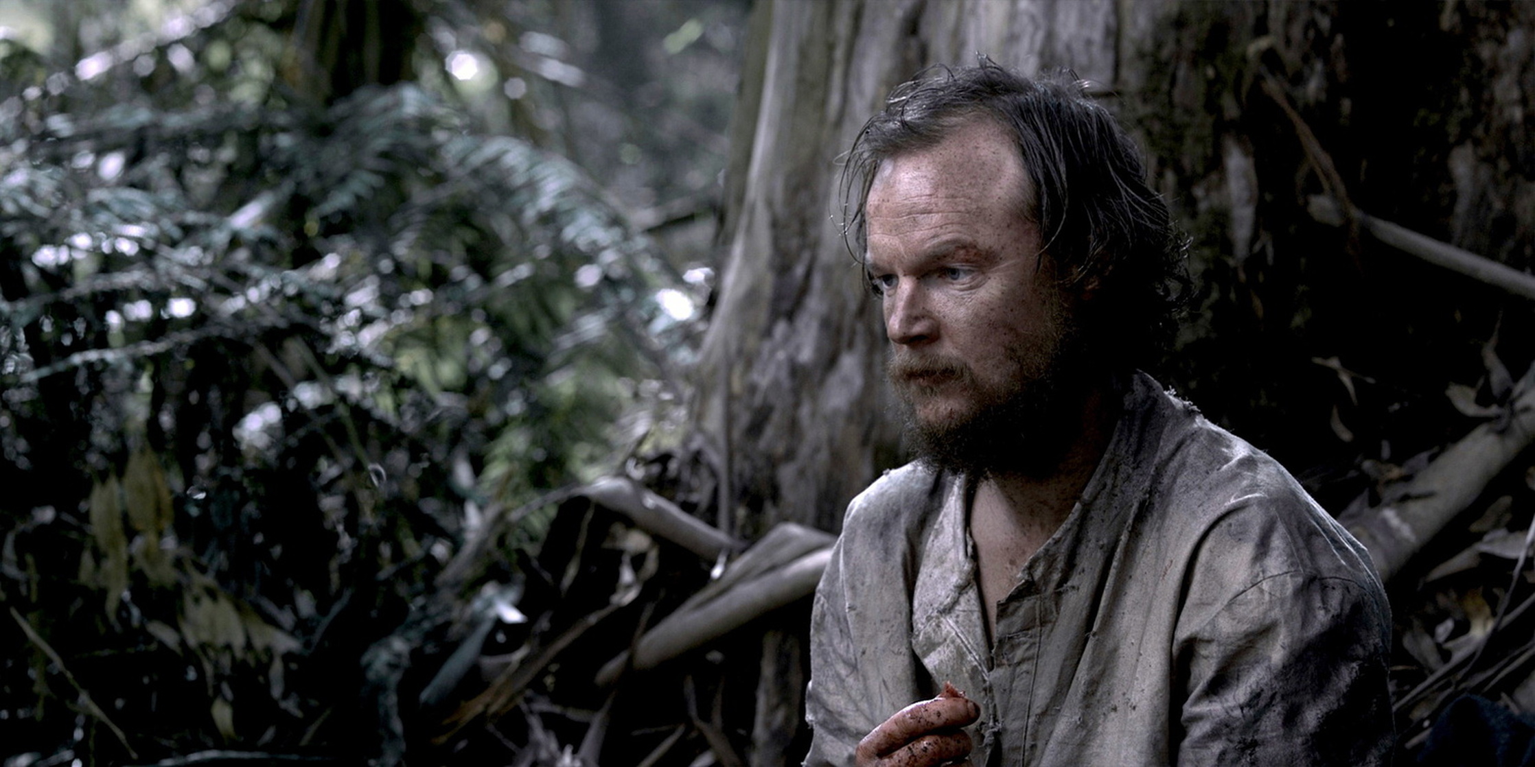 Picture of Van Diemen's Land