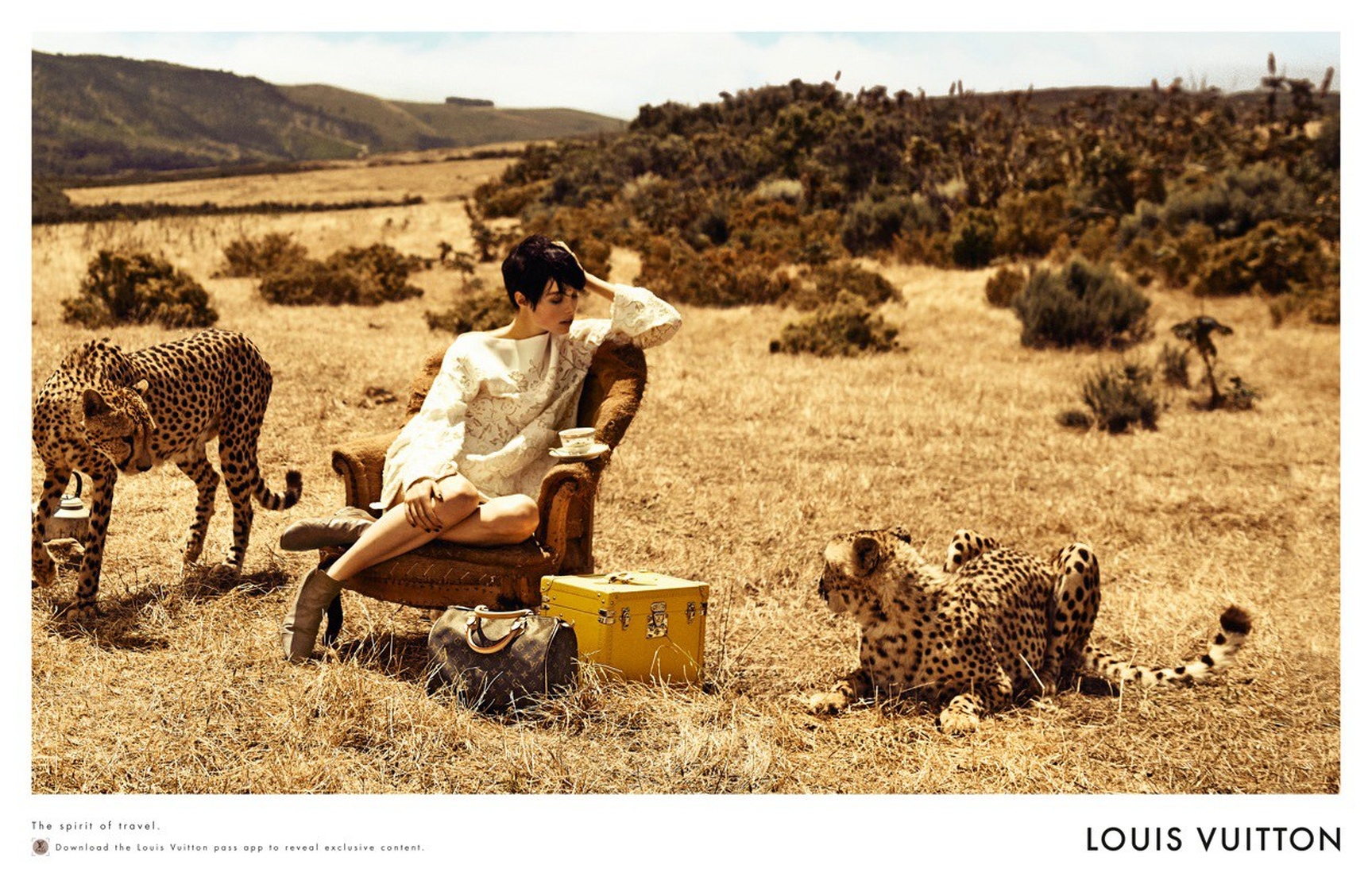 Edie Campbell