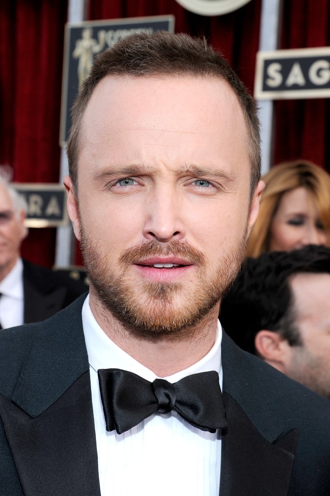 Aaron Paul adopted daughter