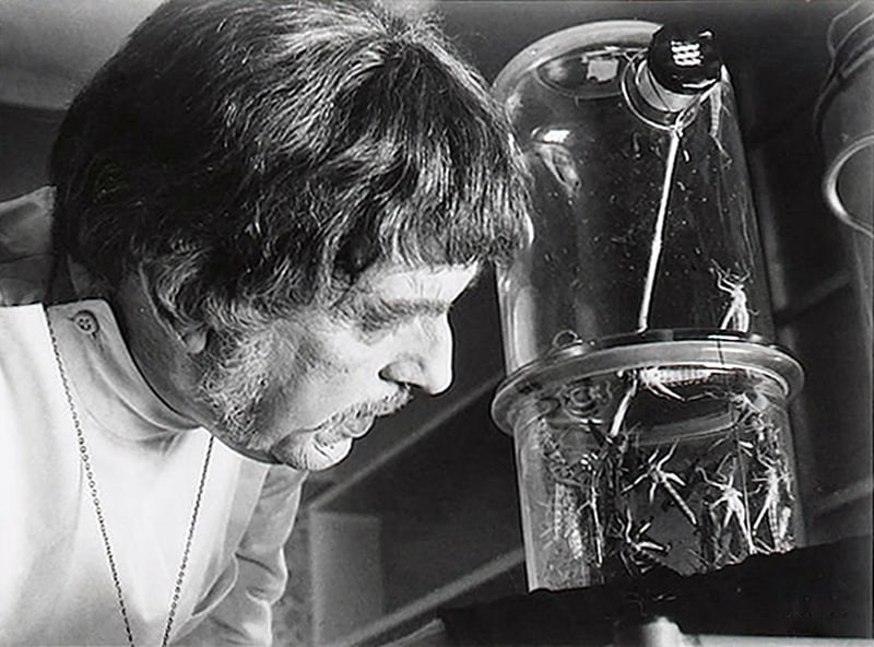 The Abominable Dr. Phibes 