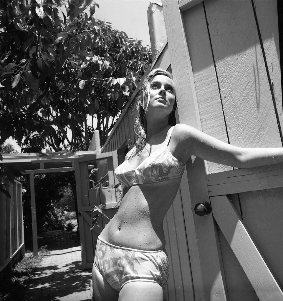 Picture of Venita Wolf