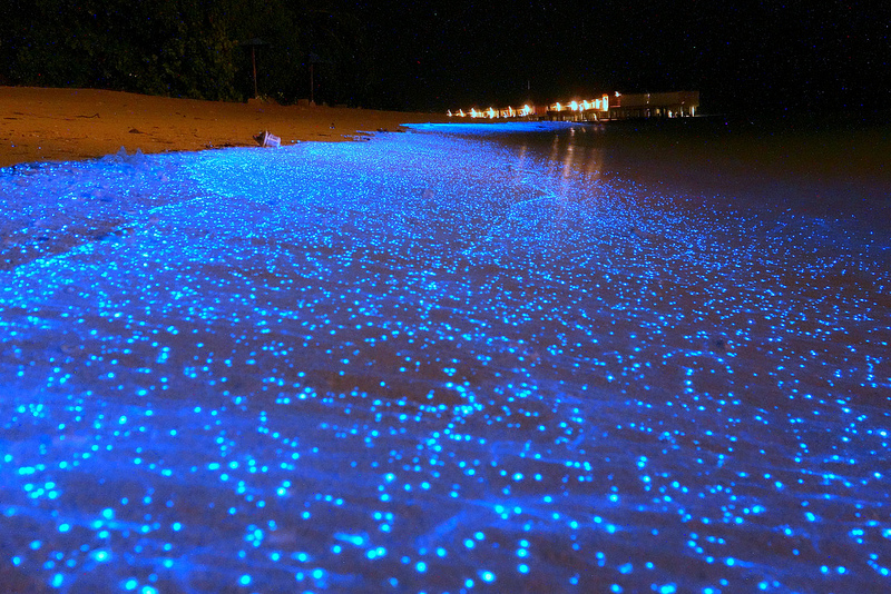 Maldives