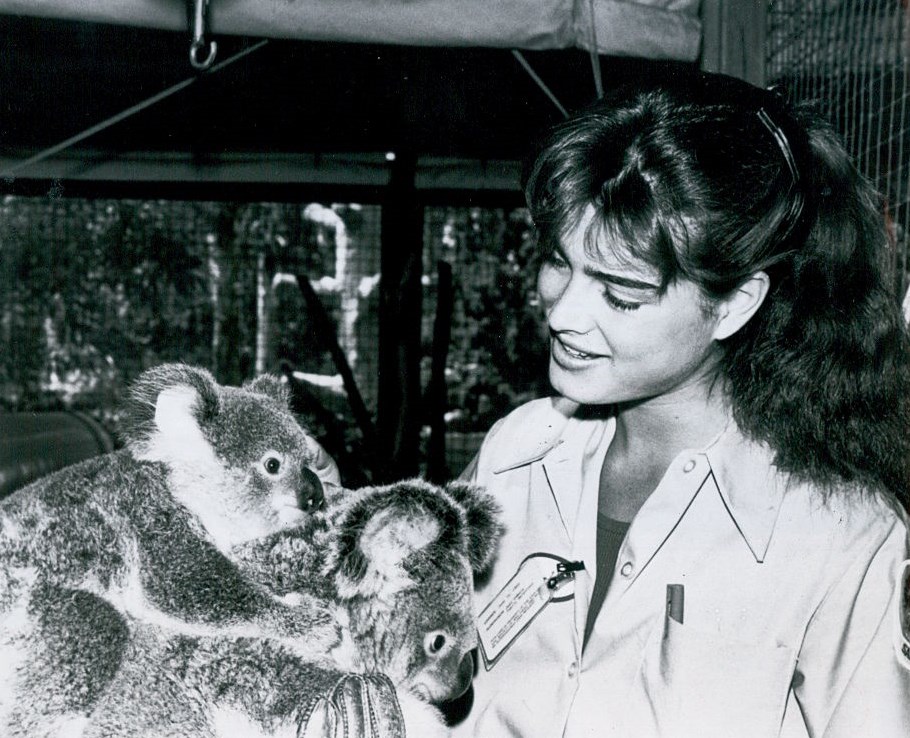 Brooke Shields picture