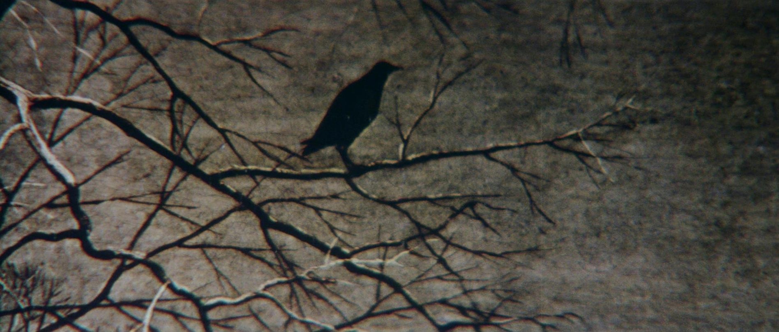 Solaris (1972) Solaris (1972)