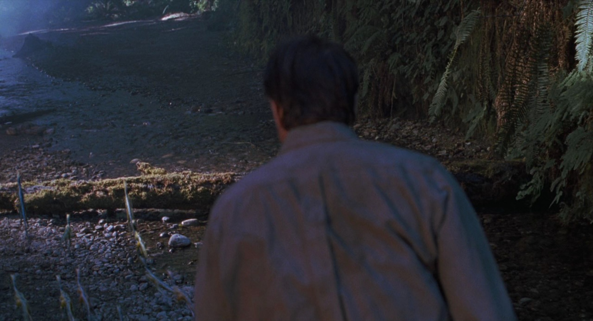 The Lost World: Jurassic Park