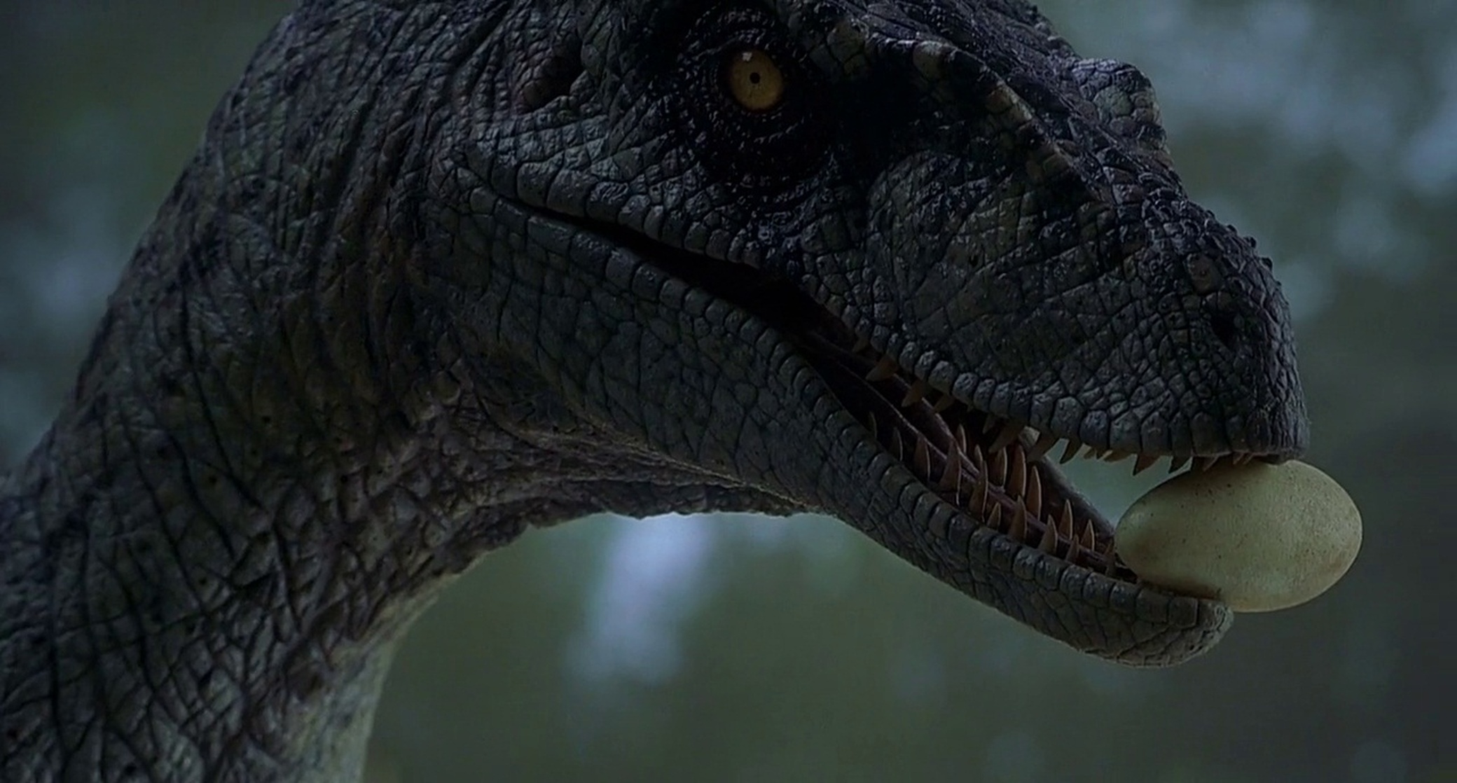 Jurassic Park III Jurassic Park III