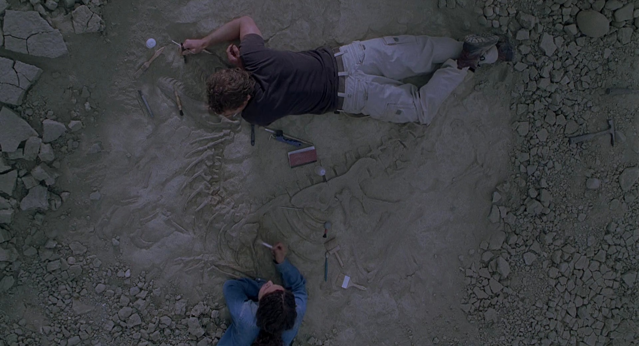 Jurassic Park III Jurassic Park III