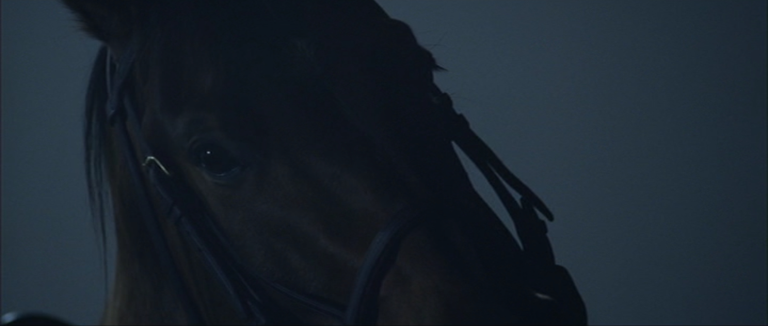 Seabiscuit