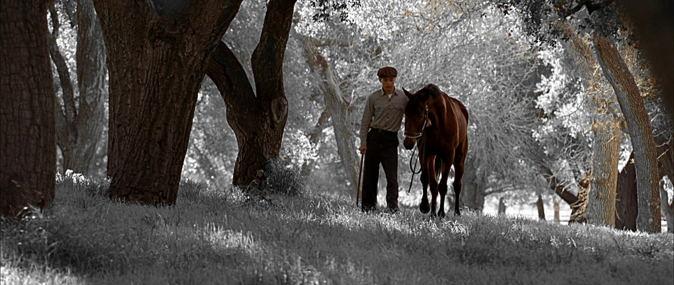 Seabiscuit Seabiscuit