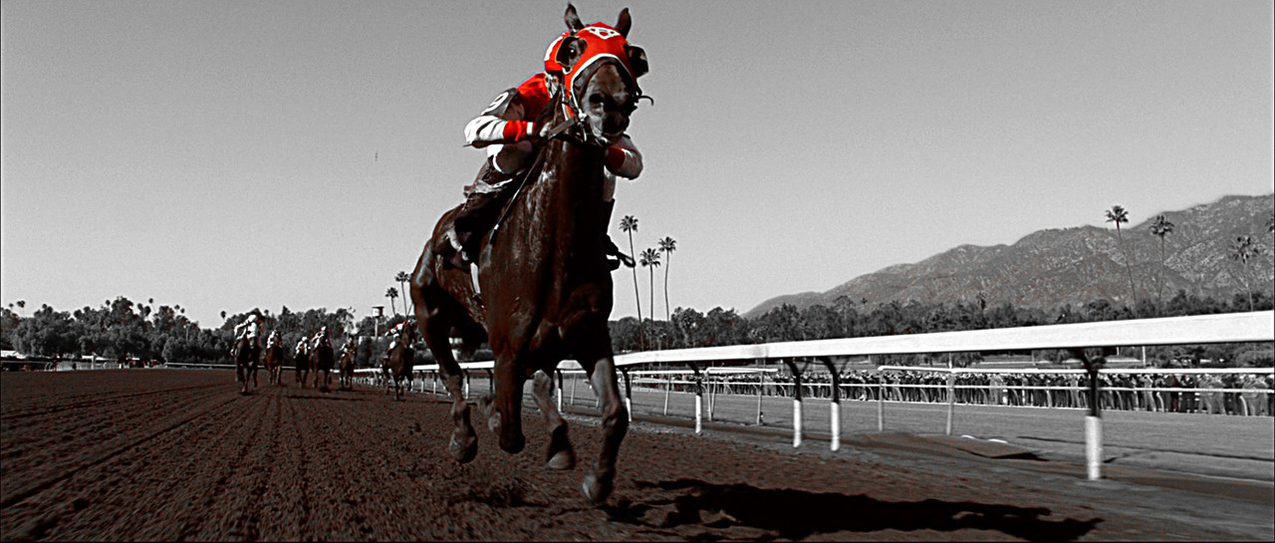 Seabiscuit