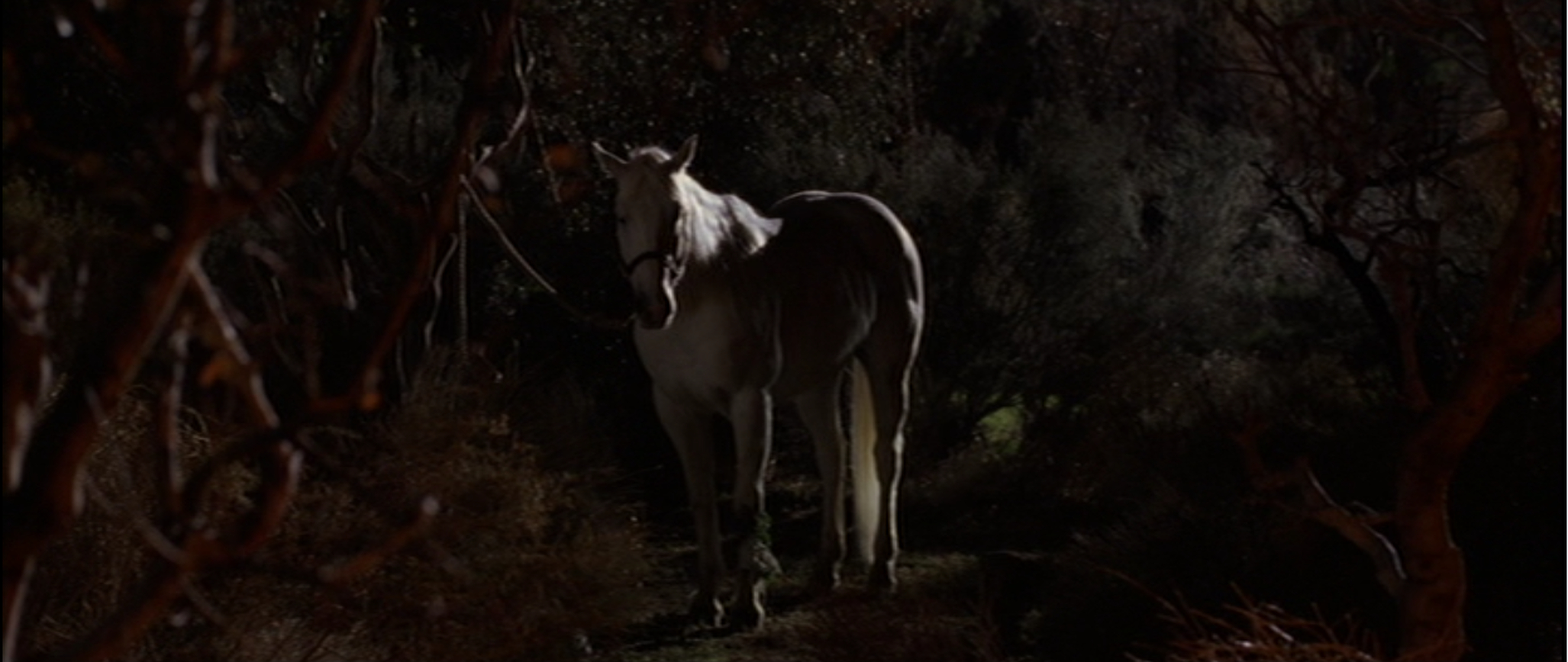 Seabiscuit