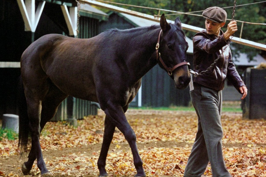 Seabiscuit