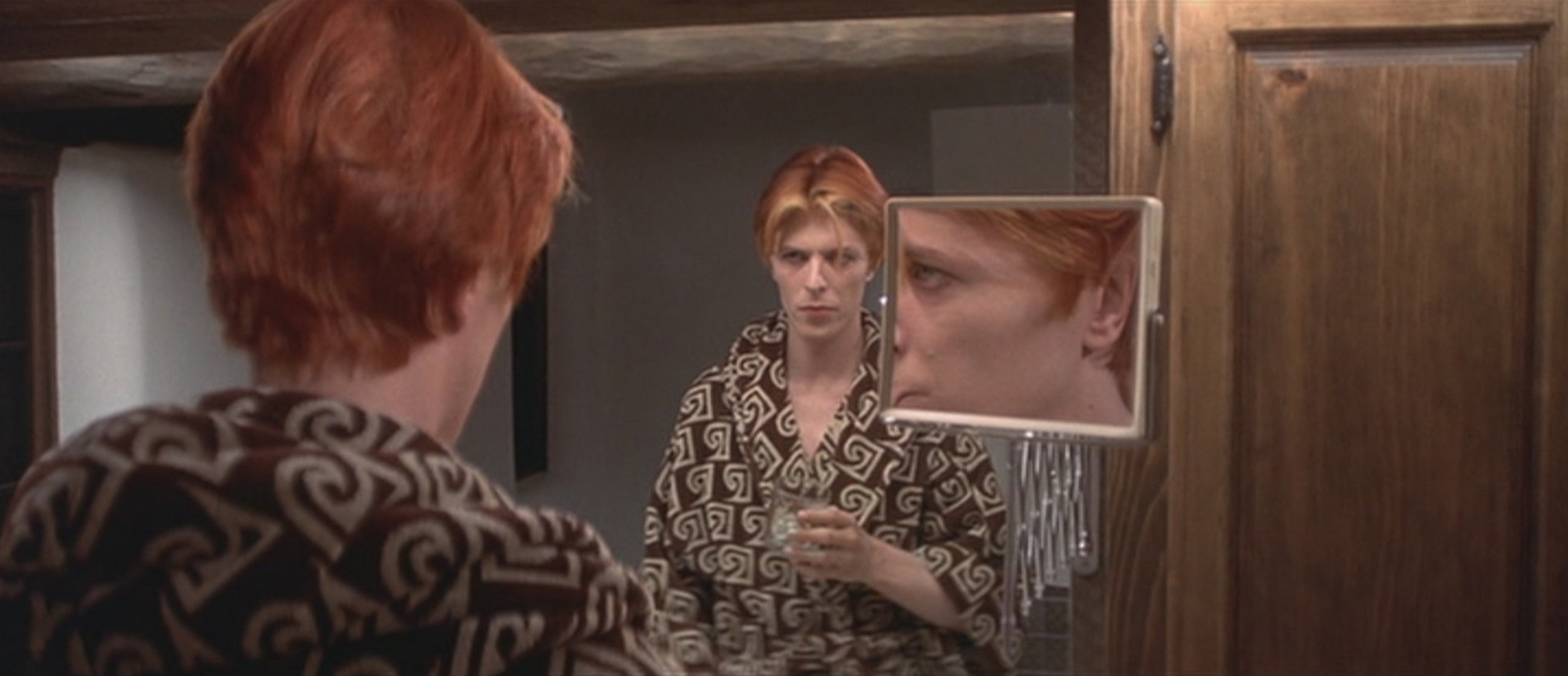 The Man Who Fell to Earth