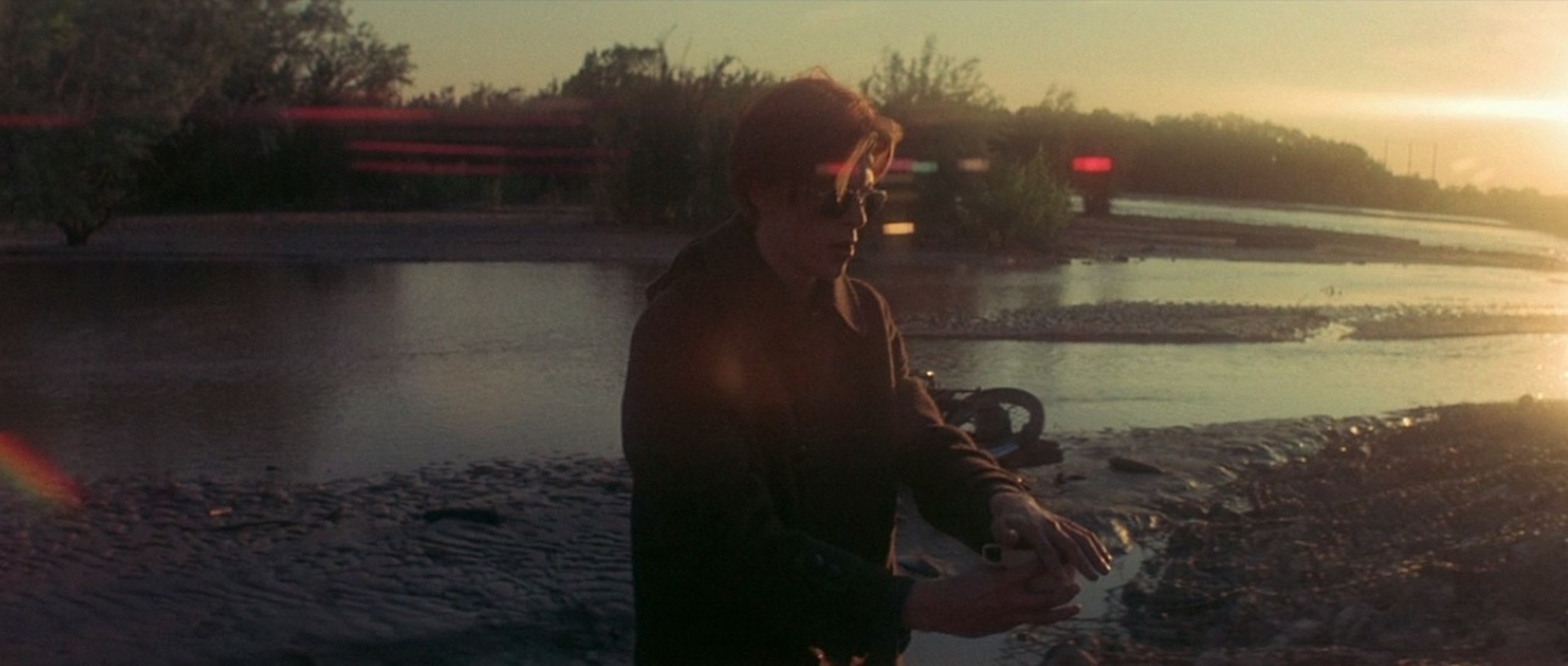 The Man Who Fell to Earth