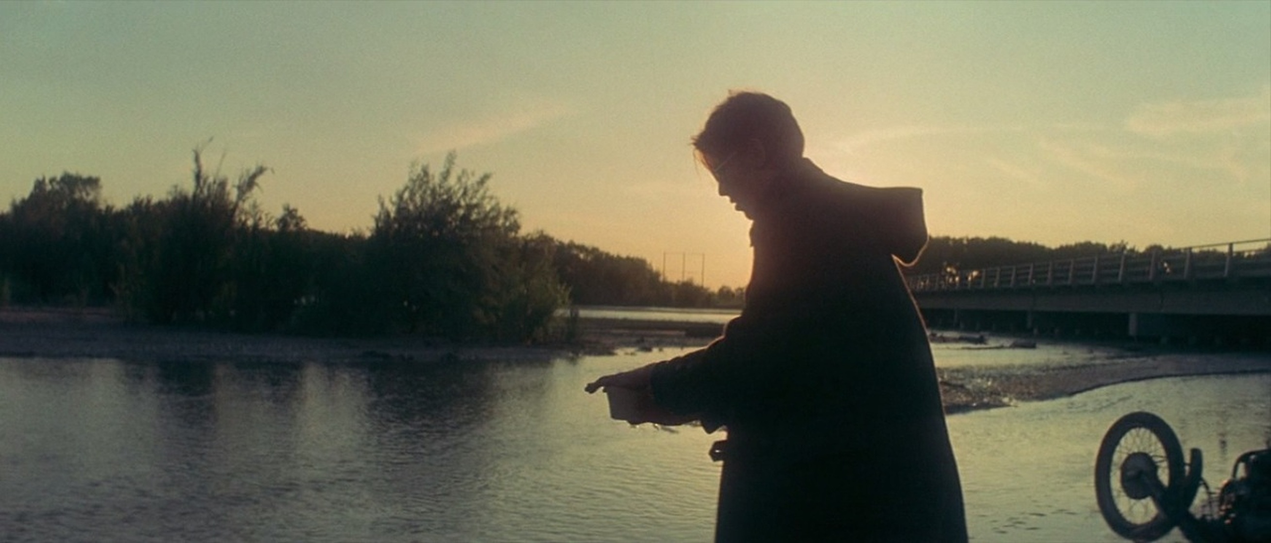 The Man Who Fell to Earth