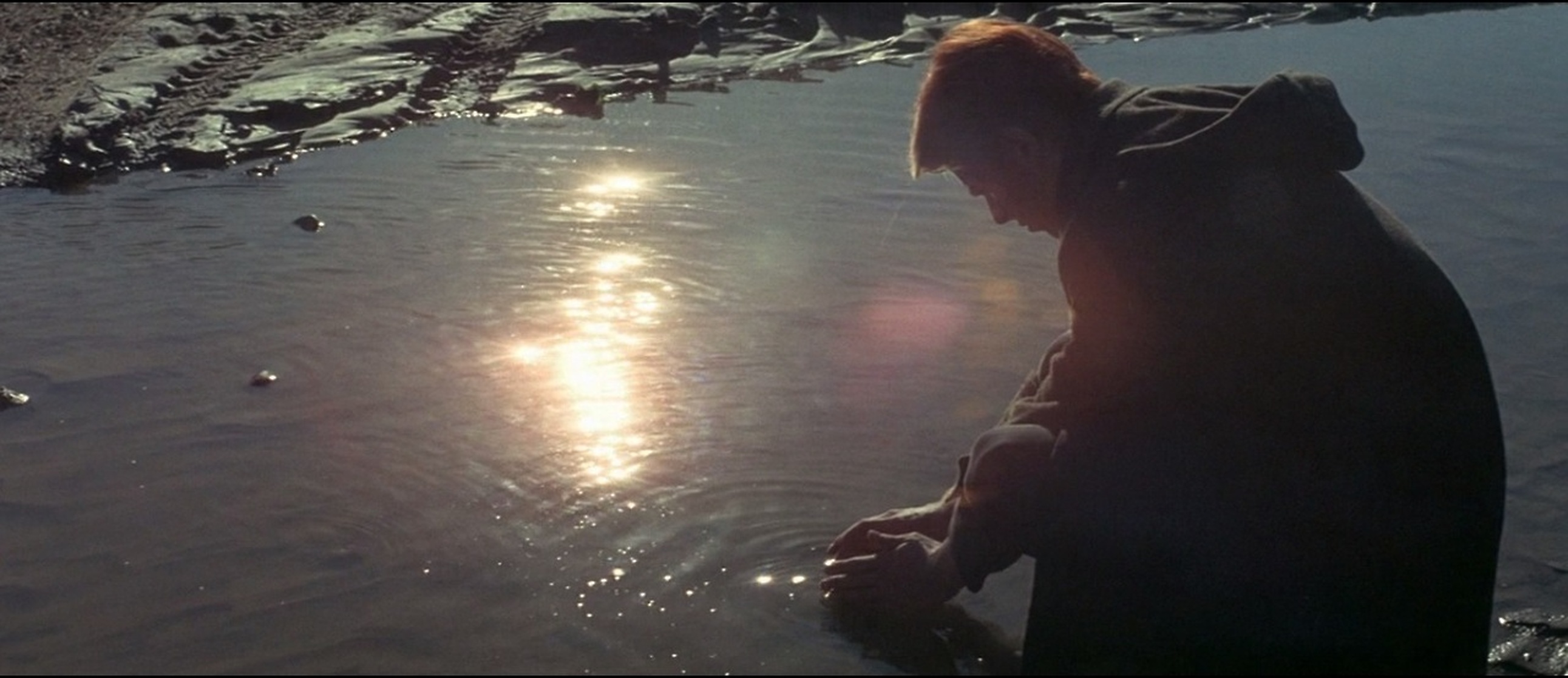 The Man Who Fell to Earth