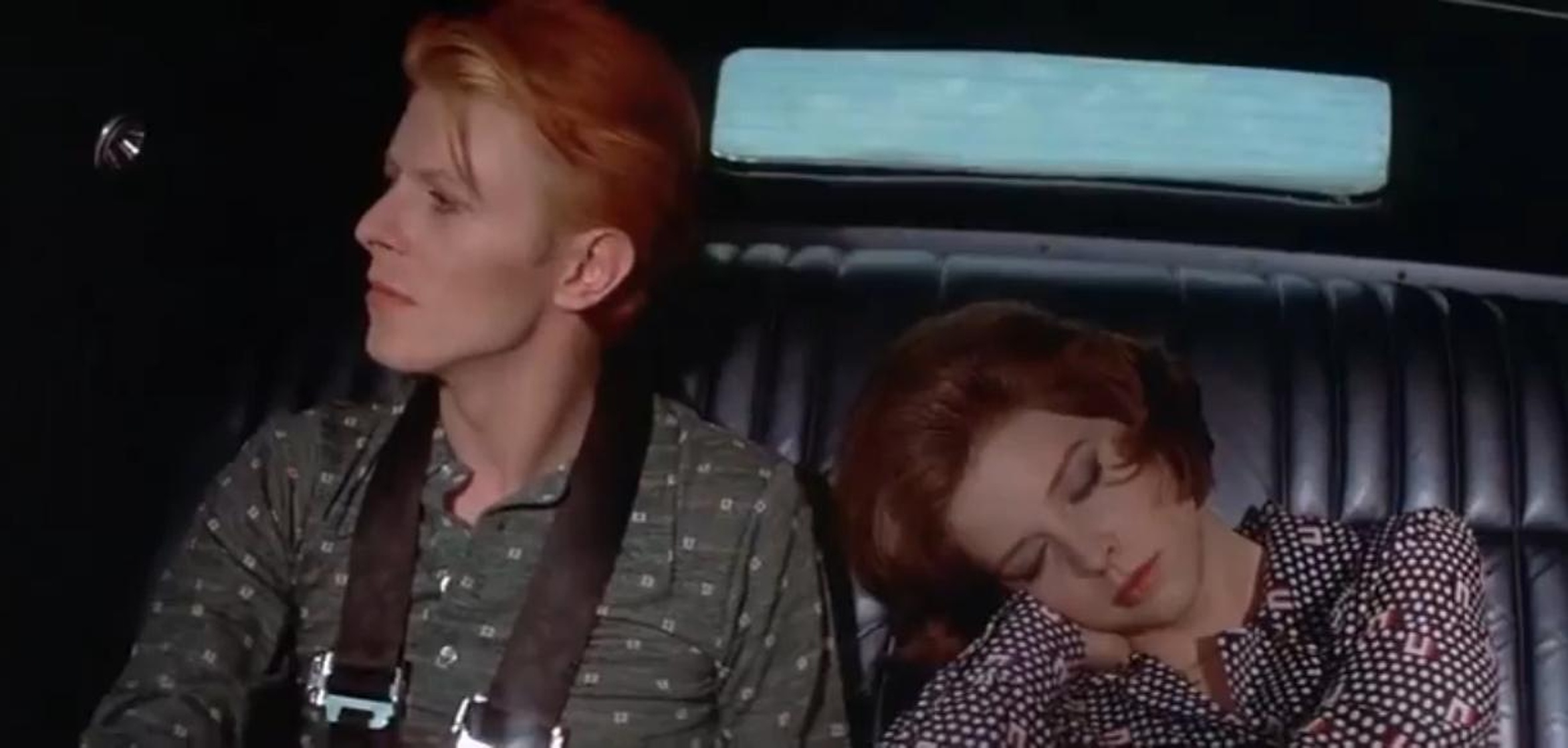 The Man Who Fell to Earth