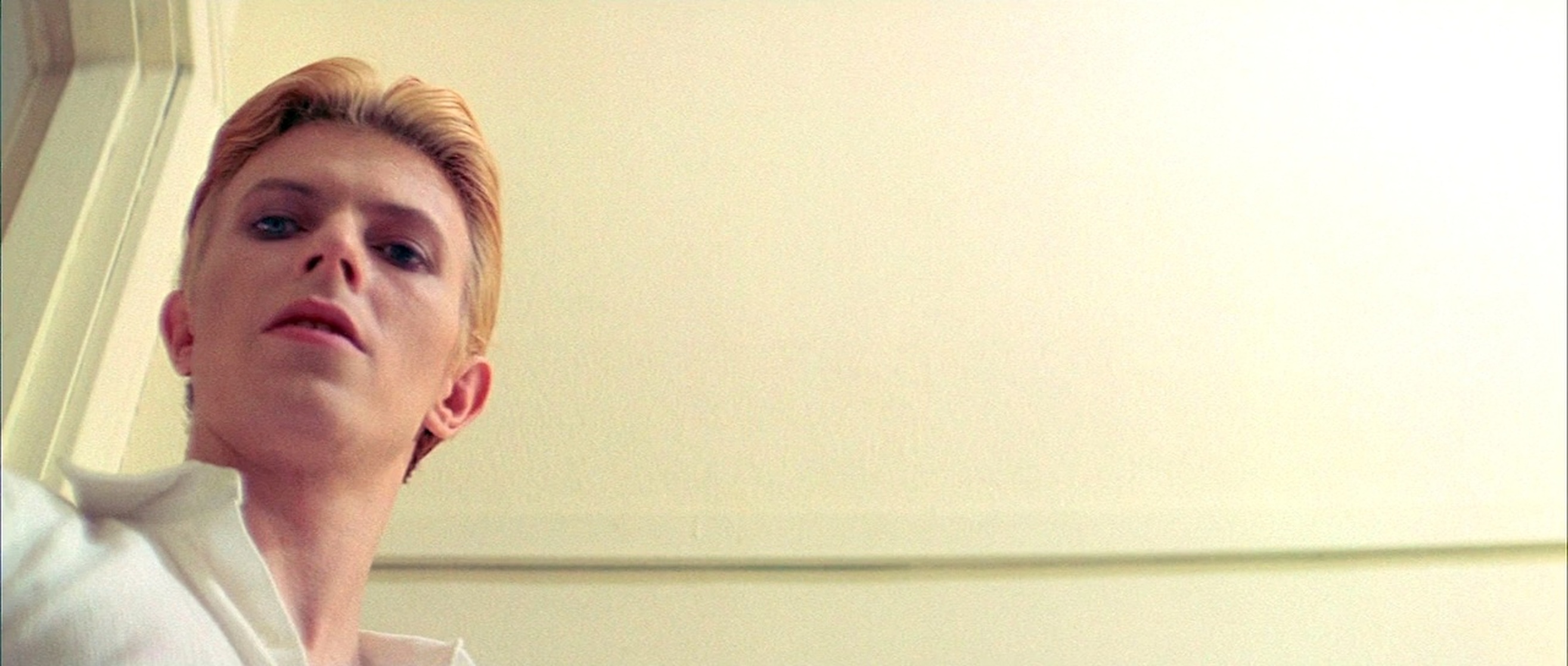 The Man Who Fell to Earth