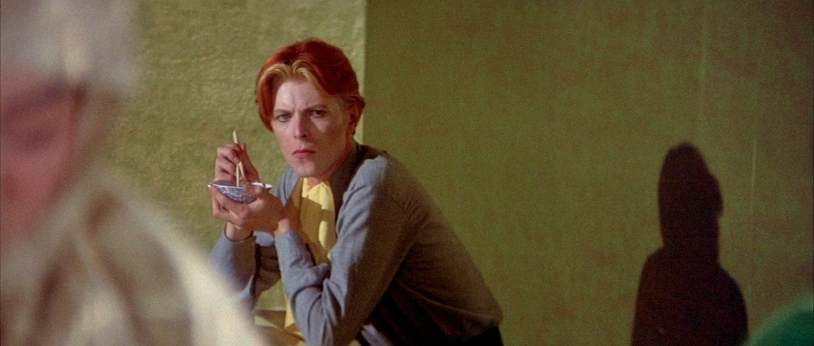 The Man Who Fell to Earth