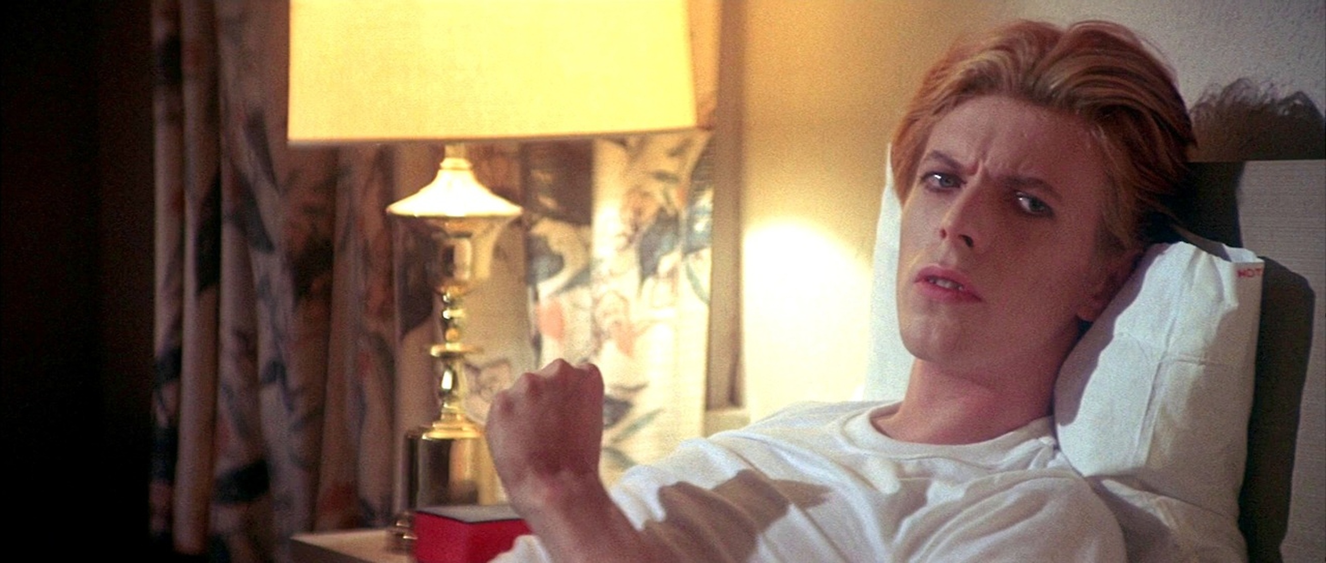 The Man Who Fell to Earth