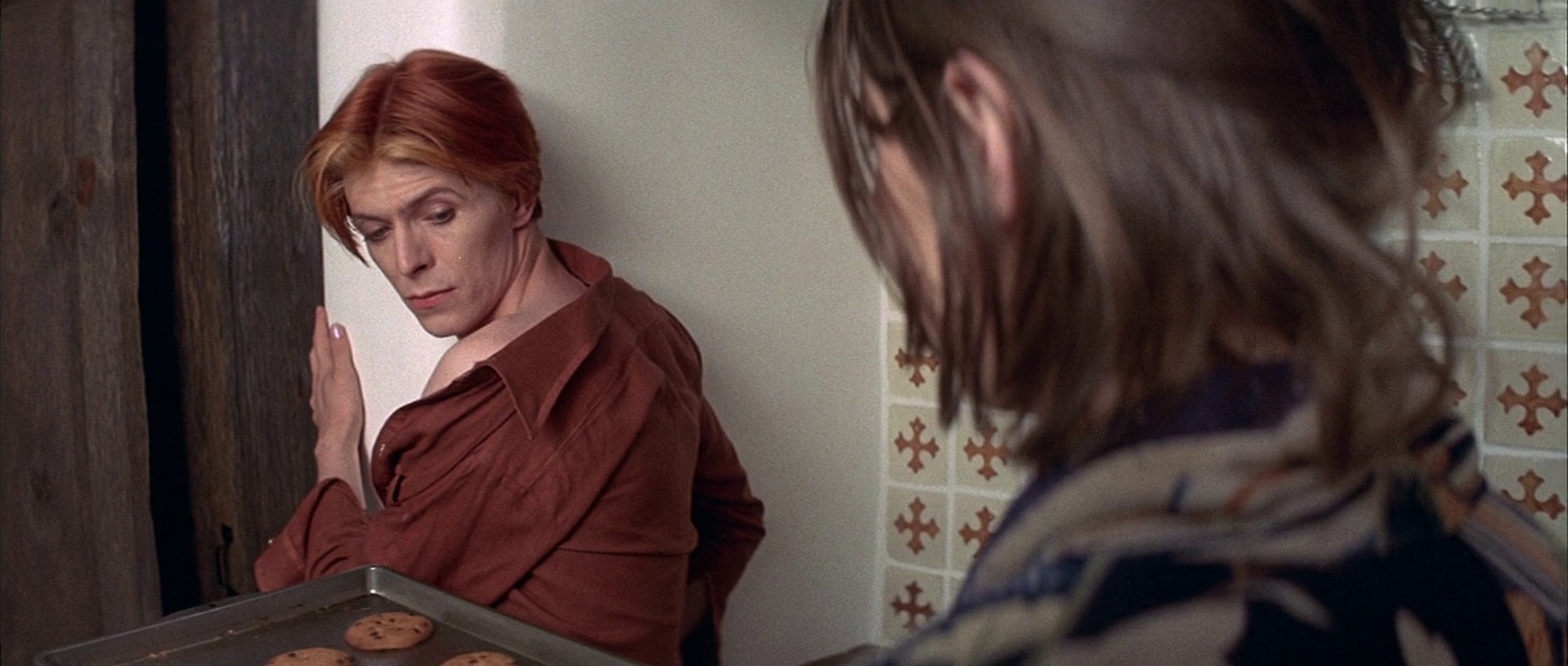 The Man Who Fell to Earth