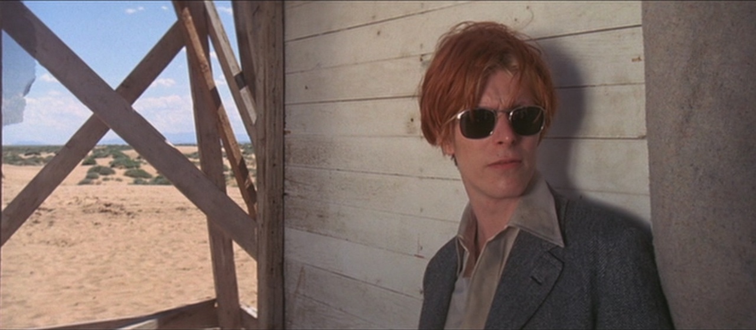 The Man Who Fell to Earth