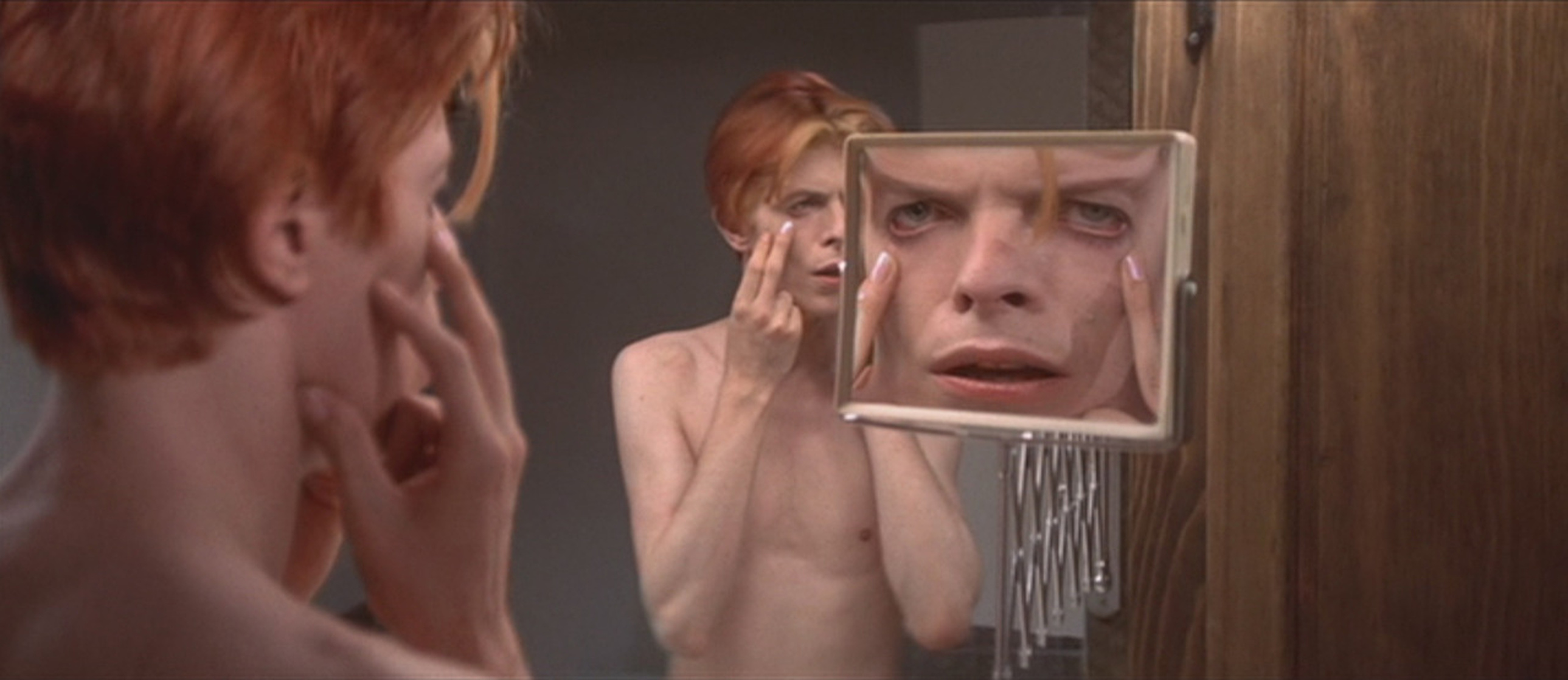 The Man Who Fell to Earth