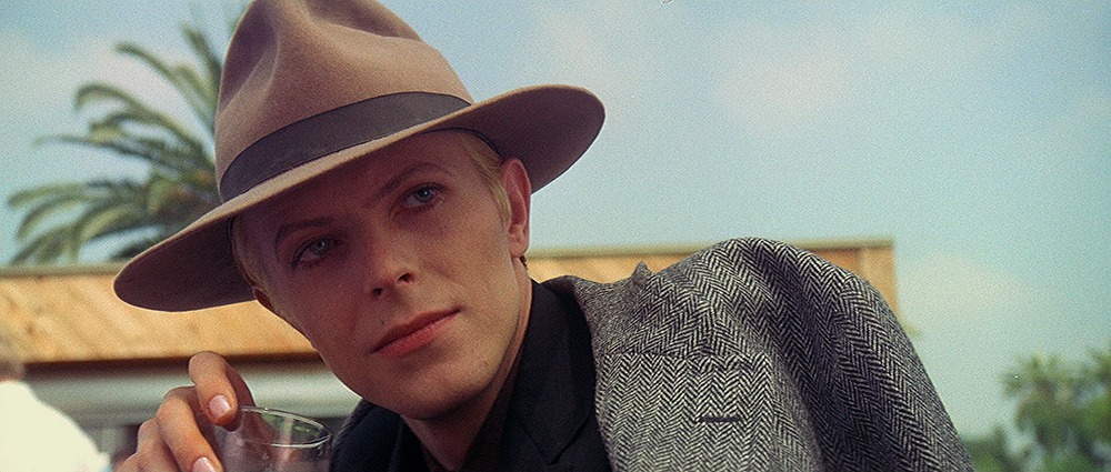 The Man Who Fell to Earth