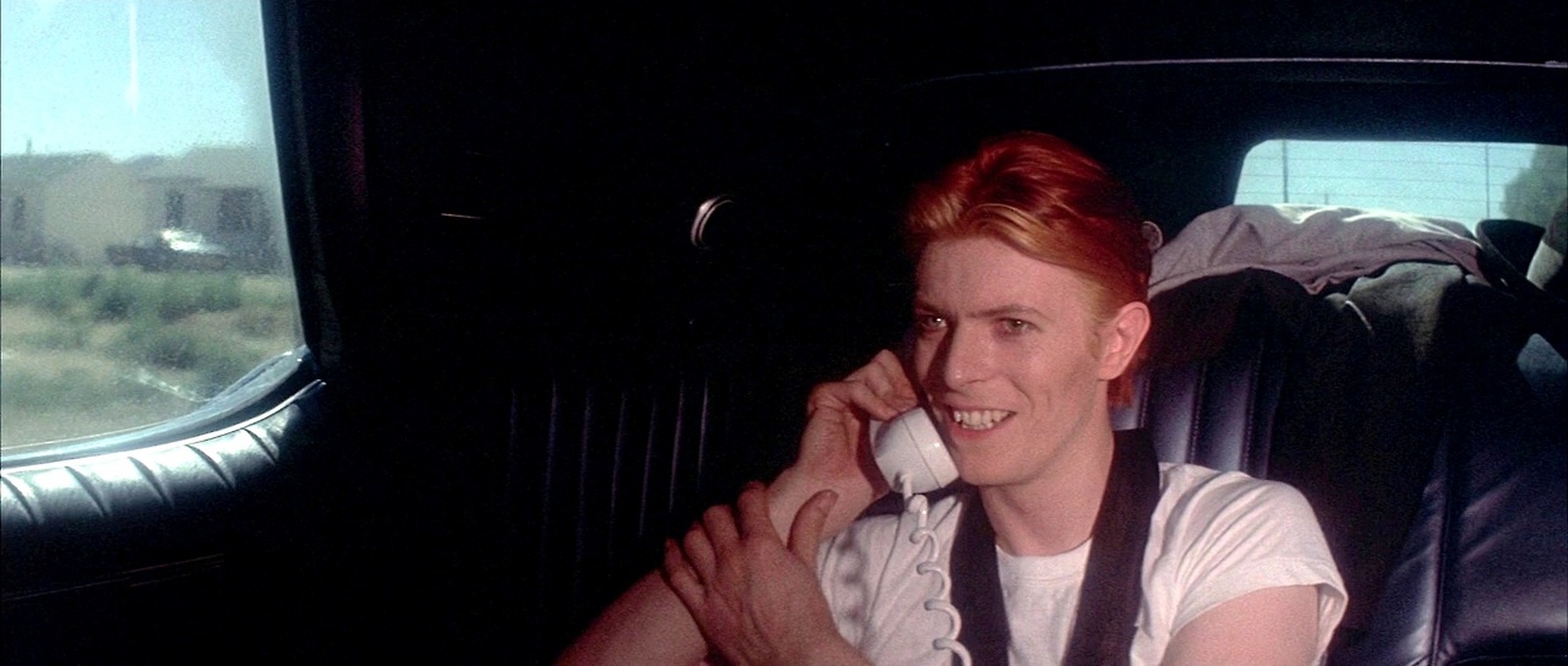 The Man Who Fell to Earth