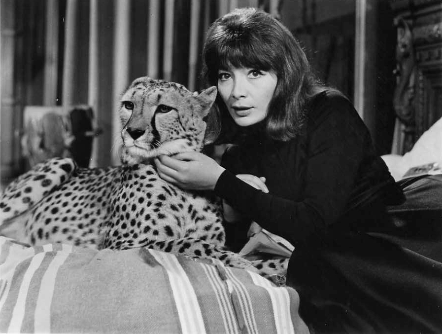 Juliette Gréco