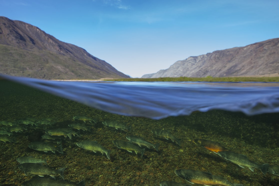 Greenland Greenland