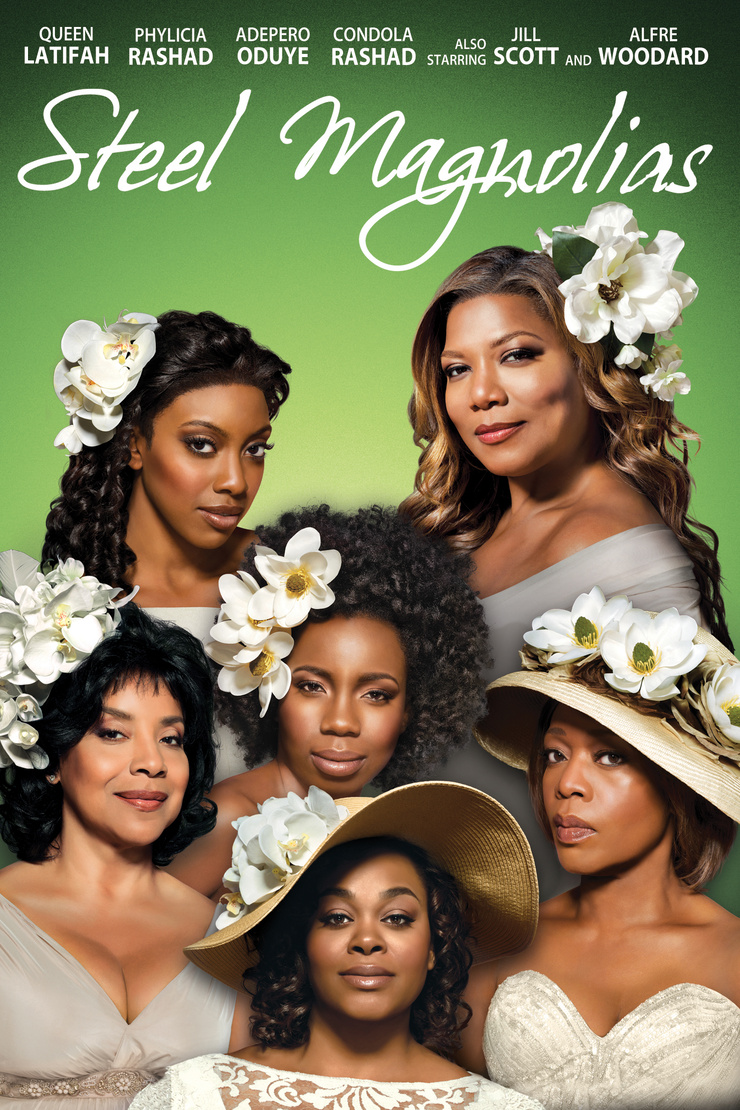 Picture of Steel Magnolias