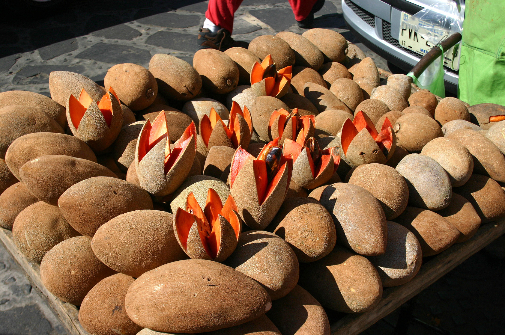 mamey sapote (Pouteria sapota)