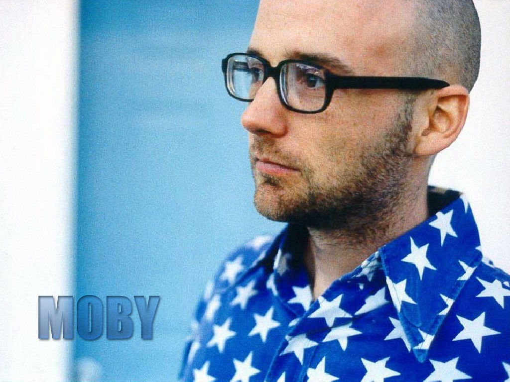 Picture of Moby