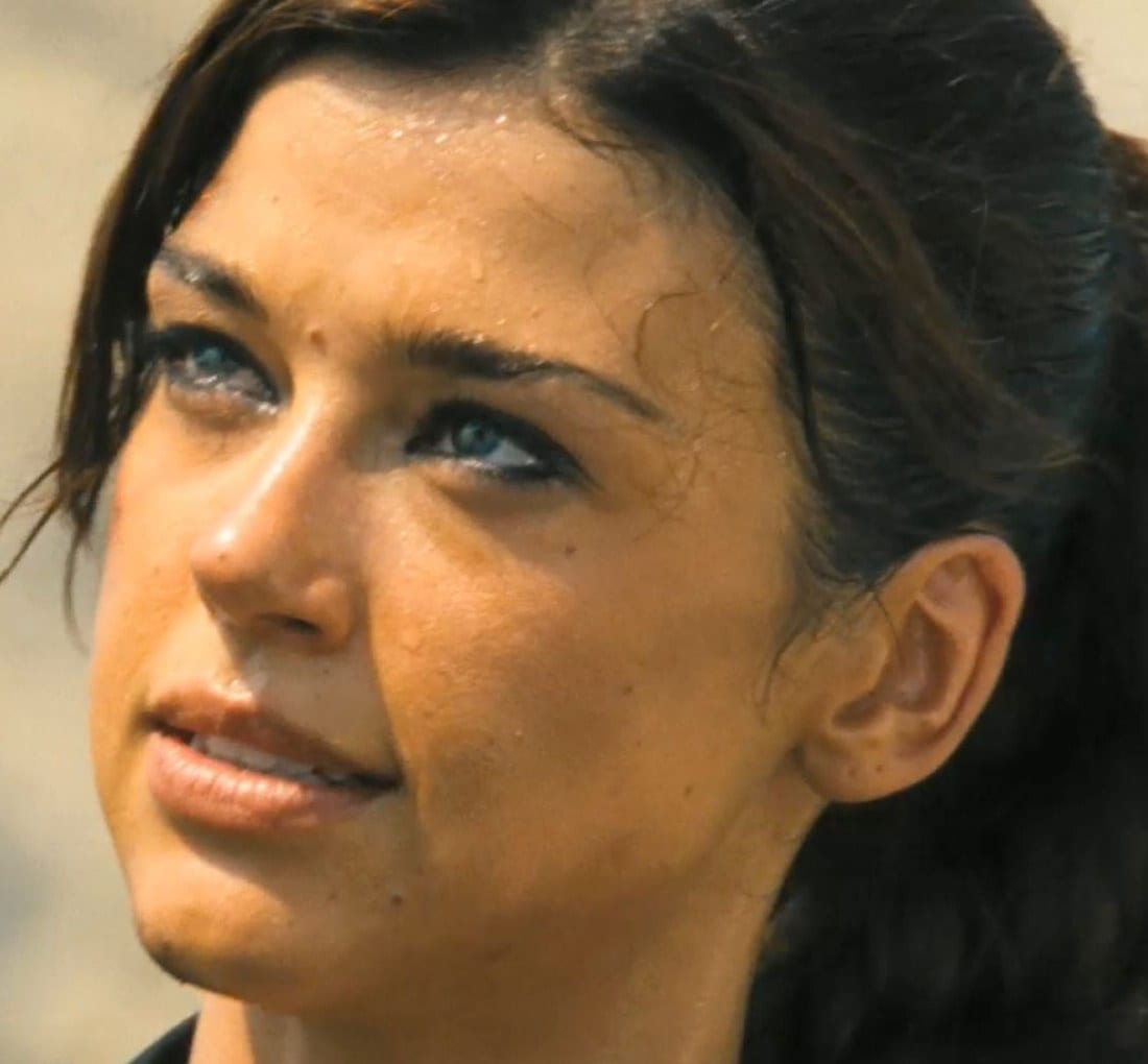 Adrianne Palicki