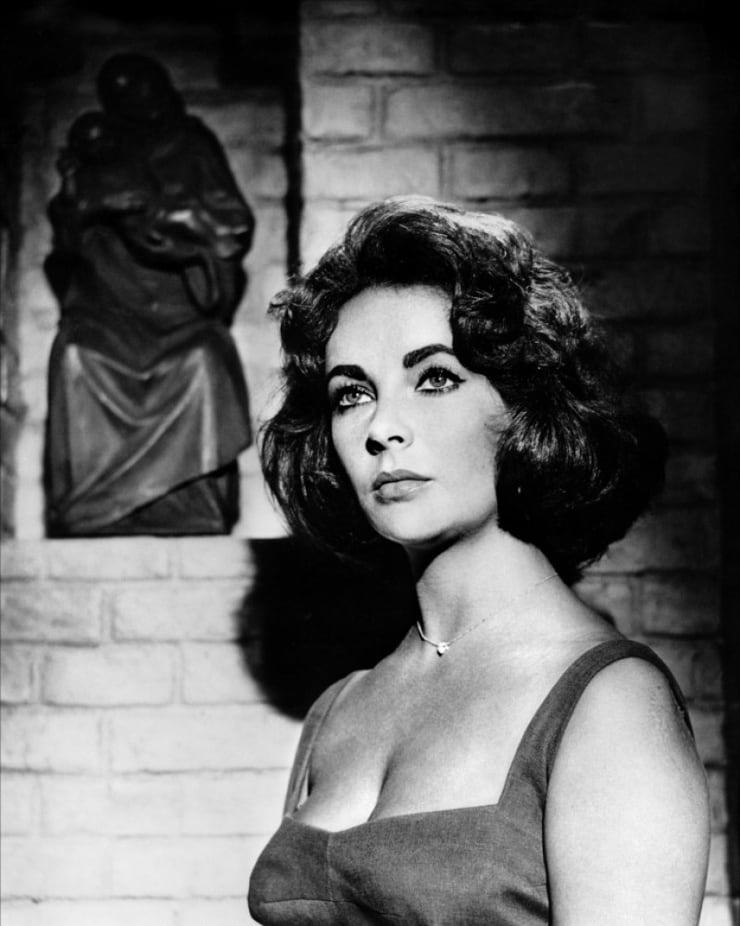 suddenly-last-summer-1959-picture