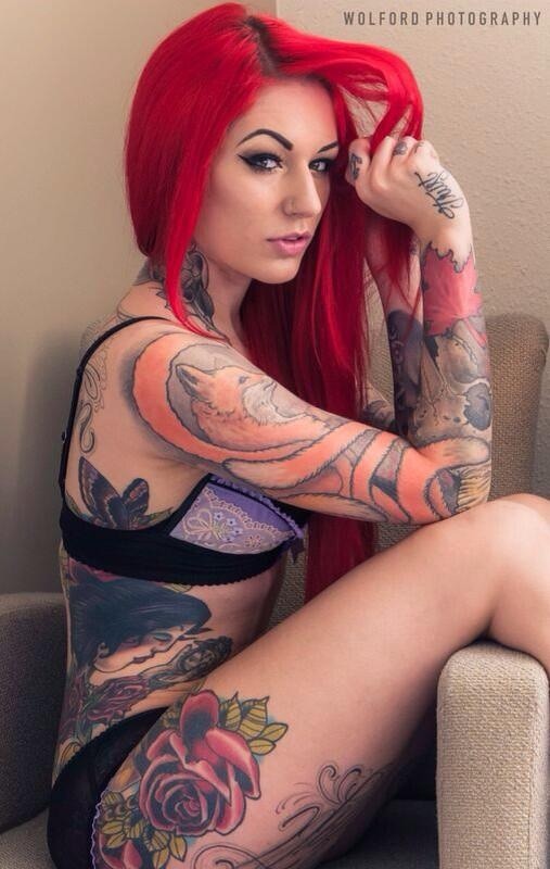 Picture of Cervena Fox