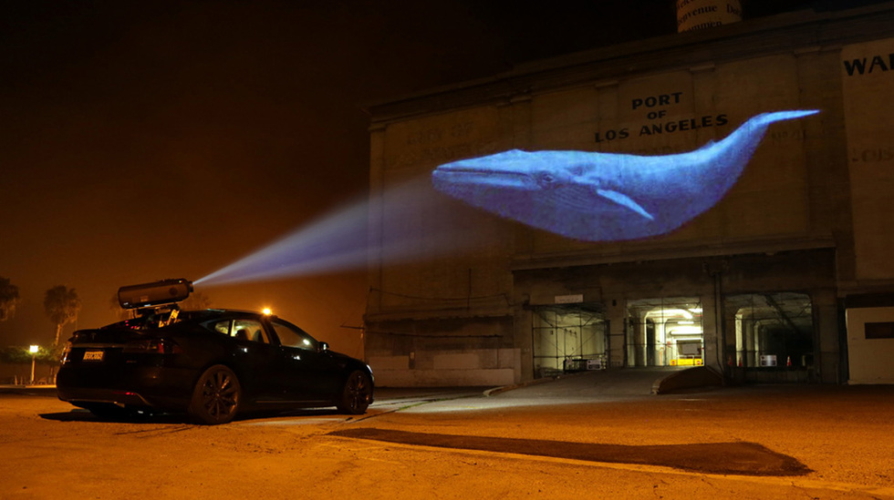 Racing Extinction