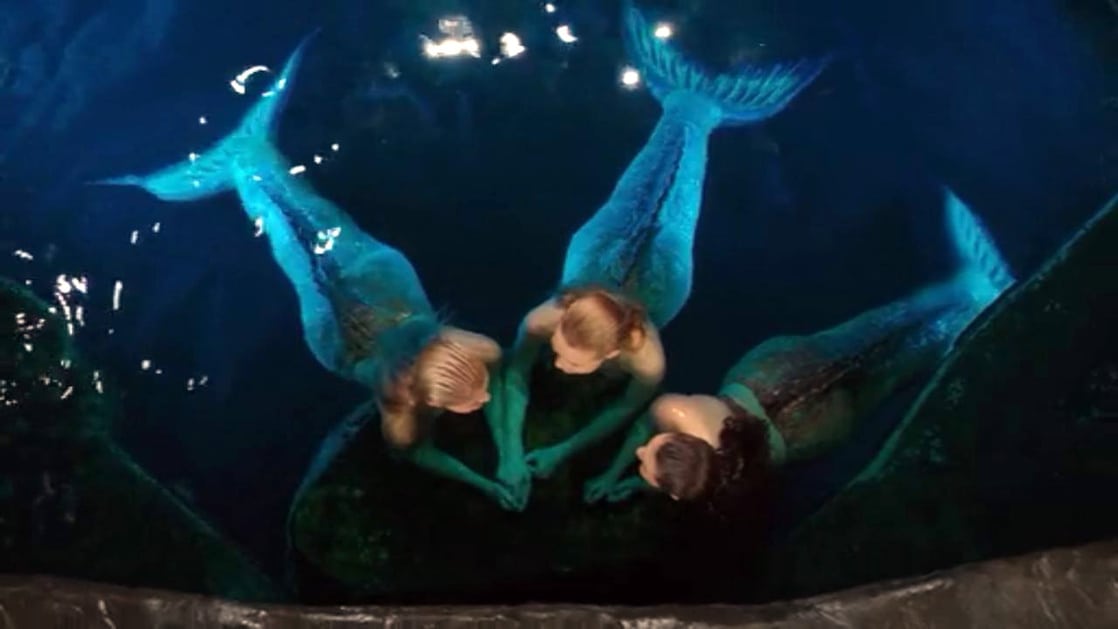 Mako Mermaids